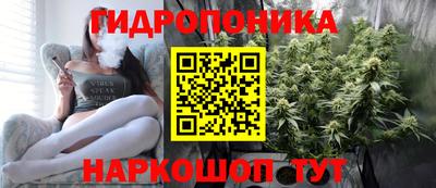 соль ск Будённовск