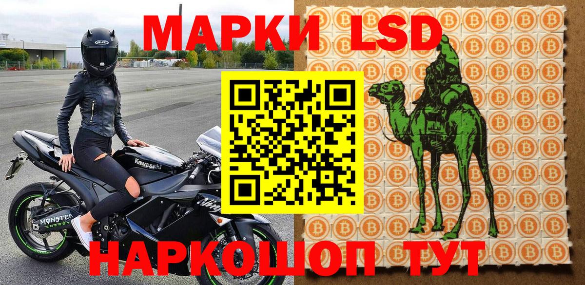 купить закладку  Вход с VPN  Кинешма  Наркотические марки 1,8мг 