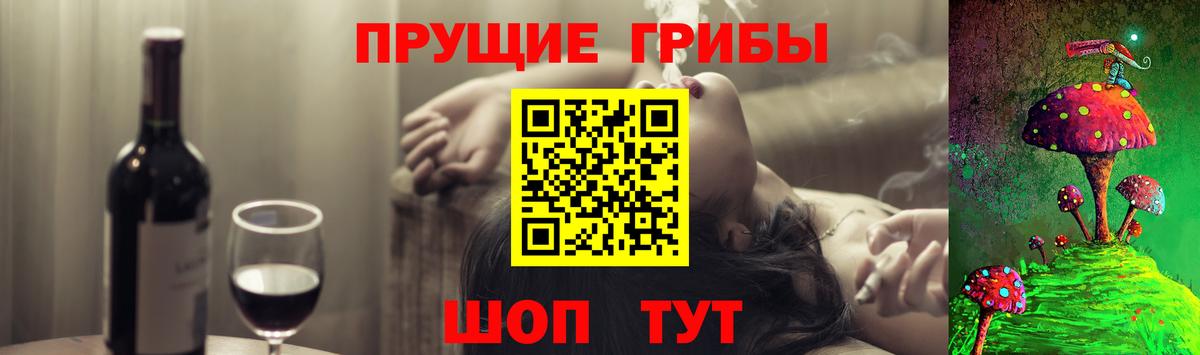 Кинешма  Галлюциногенные грибы мухоморы  Вход с VPN 